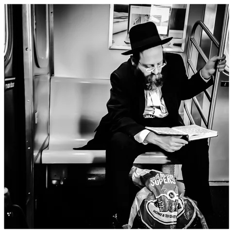 Photograph 179 from F TRAIN LOVESEATS