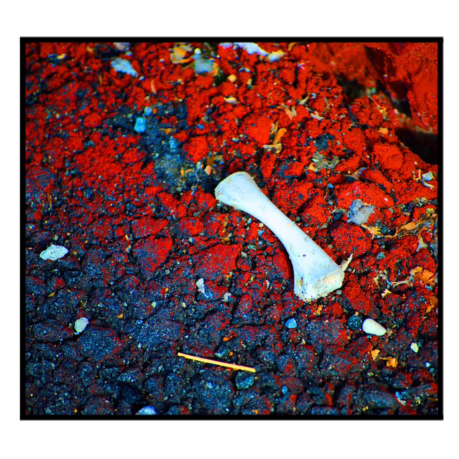 Bone