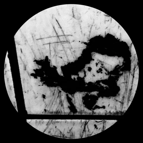 Photograph 26 from THE BLACK HOLE