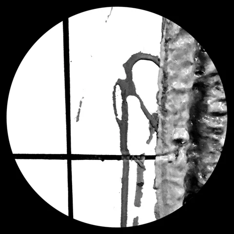 Photograph 28 from THE BLACK HOLE