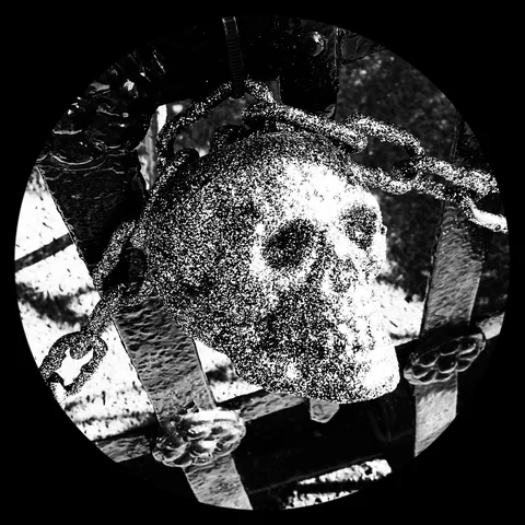 Photograph 91 from THE BLACK HOLE