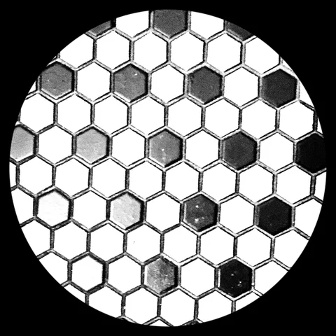 Photograph 133 from THE BLACK HOLE