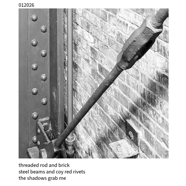 The Cuckoo Haiku — January 20, 2026