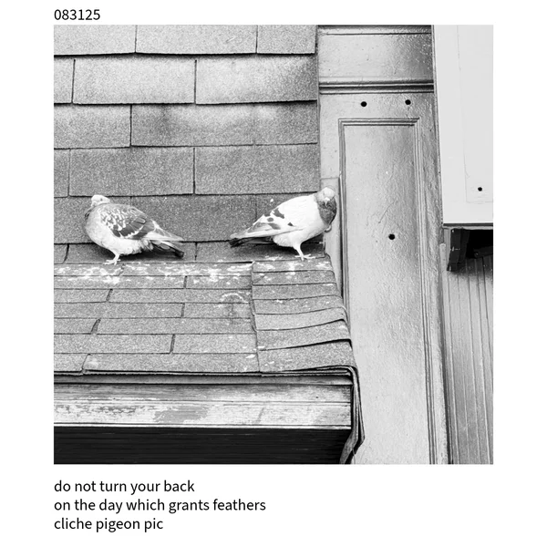 The Cuckoo Haiku — August 31, 2025