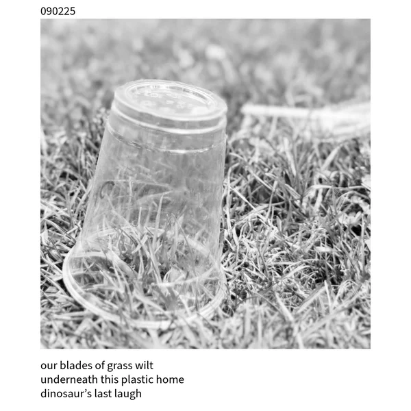 The Cuckoo Haiku — September 2, 2025