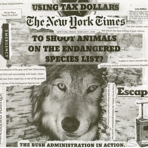 Newspaper collage, February 1st, 2008