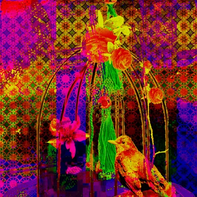 Cadge digital collage