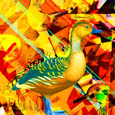 Fulvous digital collage
